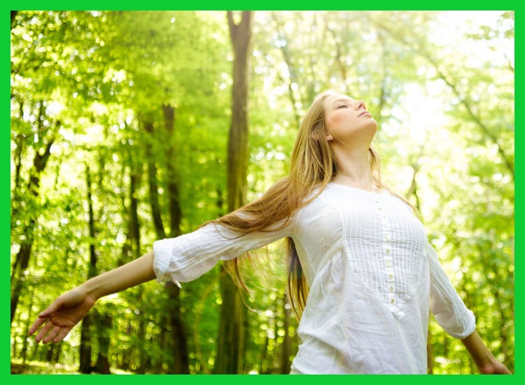 1. ¿Cómo adaptar la práctica del Shinrin-yoku a un parque urbano?