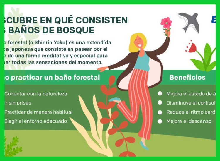3. Beneficios científicamente respaldados de los baños de bosque en entornos urbanos