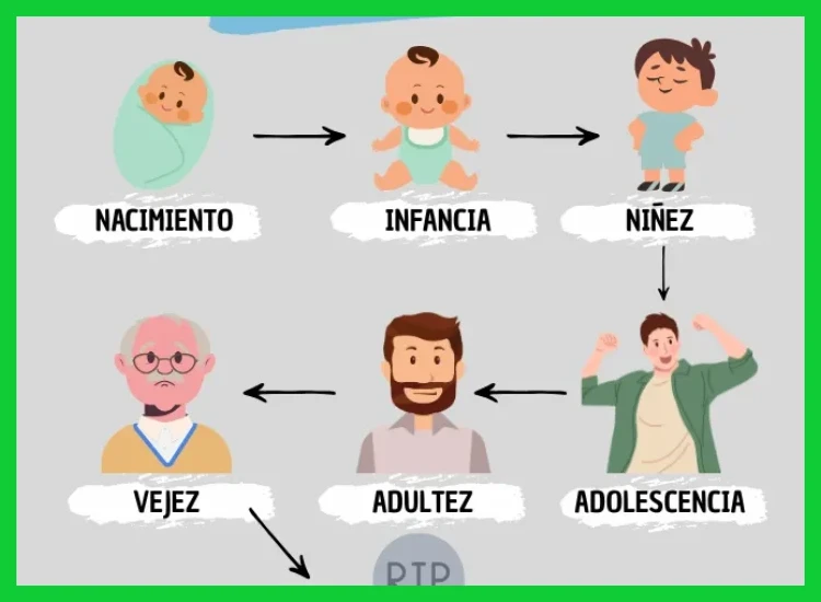 3. de referencia por grupos de edad y consideraciones especiales