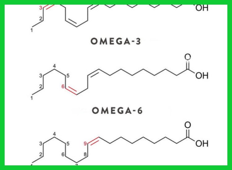 Ácidos grasos Omega-3: los antiinflamatorios naturales