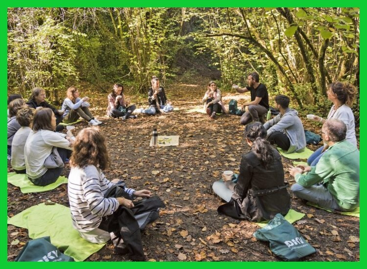 ¿Cómo puedo practicar un baño de bosque en un parque pequeño o concurrido?