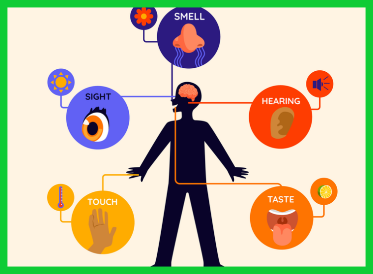 ¿Cómo se combina la técnica de respiración 5-4-3-2-1 con la respiración consciente para gestionar un episodio de ansiedad al instante?