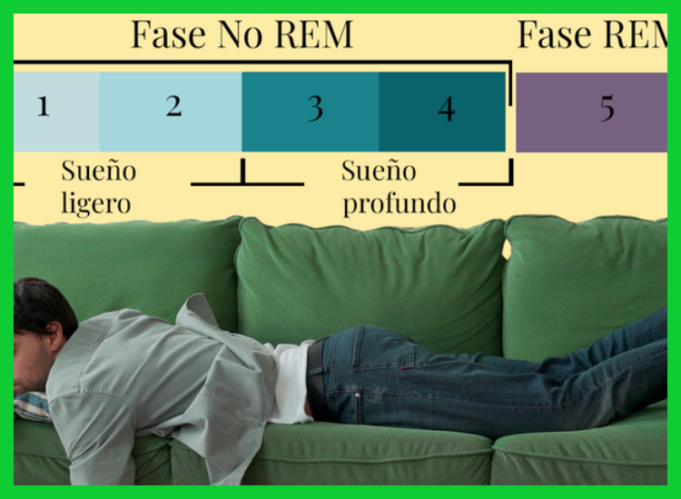¿Cuál es la duración ideal para una siesta reparadora?