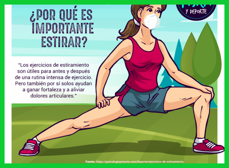 ¿Cuáles son los beneficios clave de hacer estiramientos por la mañana?