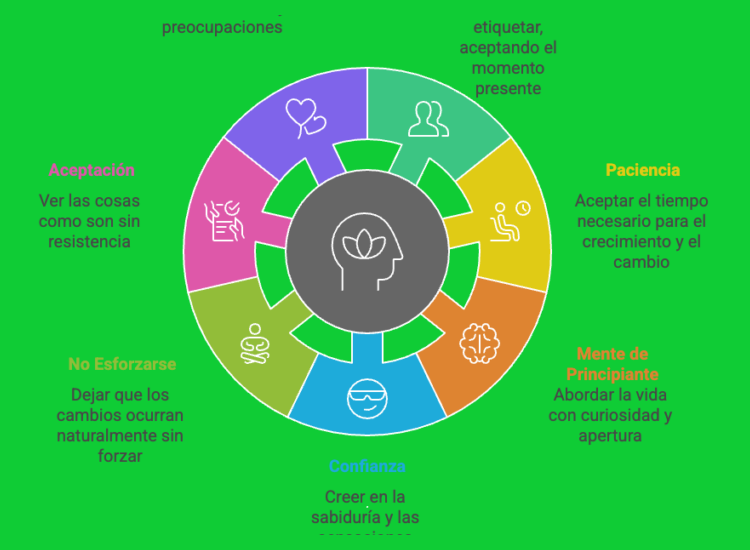 ¿Cuáles son los siete pilares fundamentales del mindfulness que pueden integrarse en una práctica diaria de solo tres minutos?
