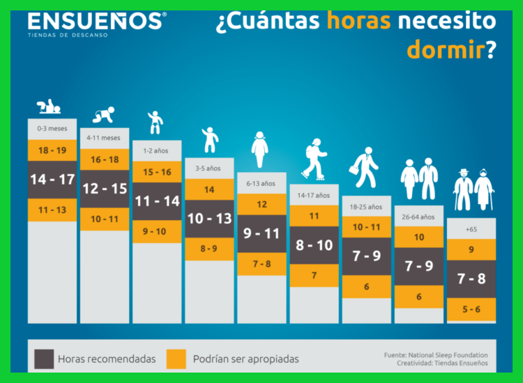 ¿Cuántas horas de sueño son recomendables para un adulto, considerando variables como su grupo etario y su nivel de actividad física y mental?
