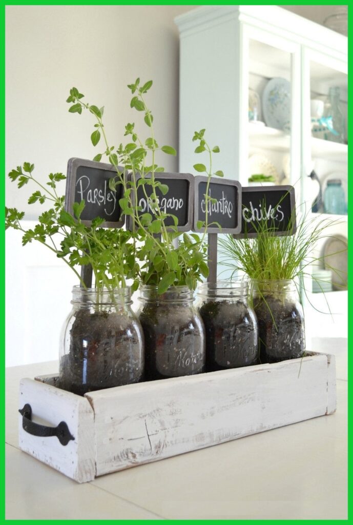 Cultiva hierbas aromáticas en macetas dentro de tu cocina - Cultiva hierbas aromáticas