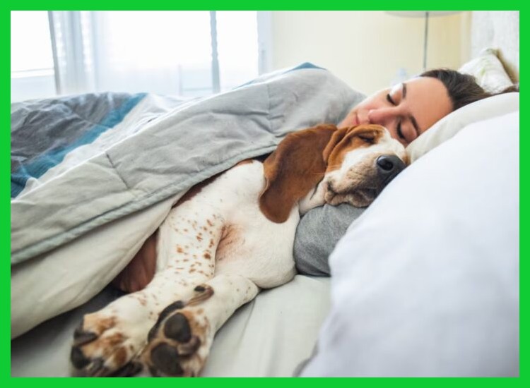 ¿En qué franja horaria debe ubicarse la siesta para optimizar sus beneficios sin interferir en el descanso nocturno?