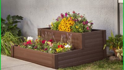 Jardinería urbana sencilla para principiantes sin espacio - Jardinería urbana sencilla