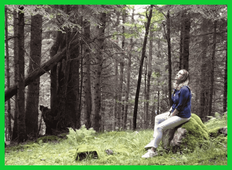 ¿Merece la pena incorporar la práctica del baño de bosque en la rutina cuando el espacio natural disponible es limitado?