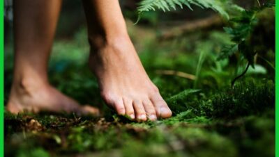 Paseos descalzo sobre tierra o césped para recargar energía - Paseos descalzo sobre