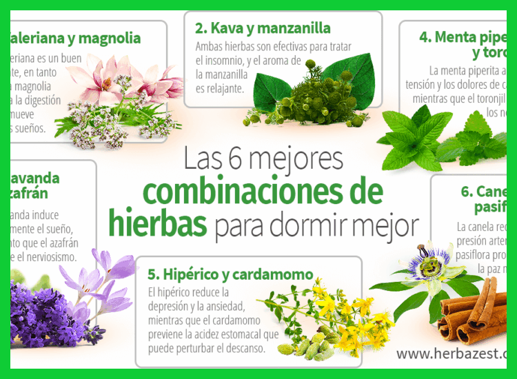 ¿Qué plantas medicinales son más efectivas para combatir el insomnio y la ansiedad nocturna?