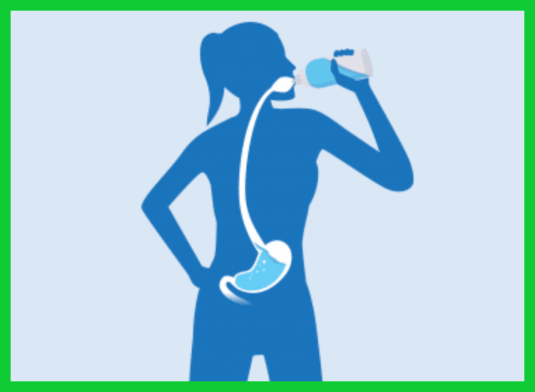 ¿Qué signos indican que el cuerpo está correctamente hidratado solo con agua?