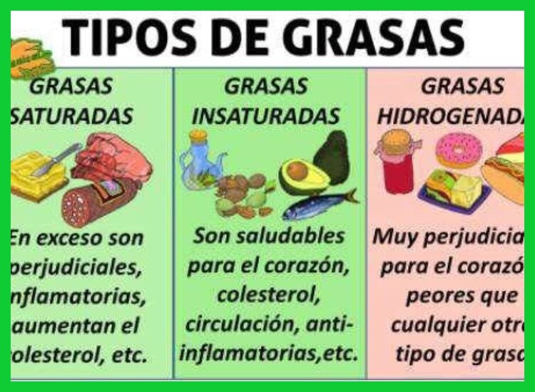 ¿Qué tipos de grasas saludables, a menudo subestimadas, son esenciales para las funciones vitales del organismo?